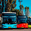 Organizarea transportului public de Paști